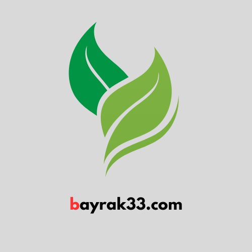 bayrak.com